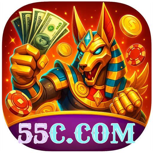 55C.COM