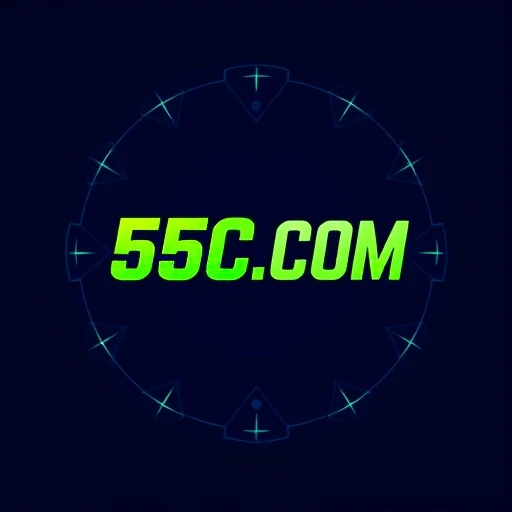 55C.COM